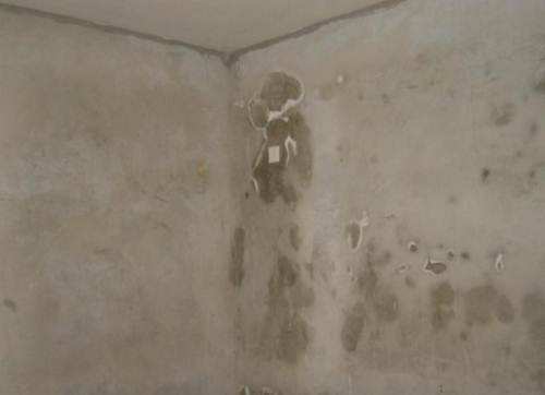 什么是墻面反堿？家中墻體返堿掉皮怎么處理？