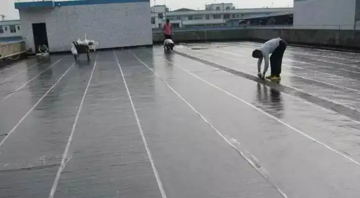 自建房屋頂做防水處理，這種材料是最好的。